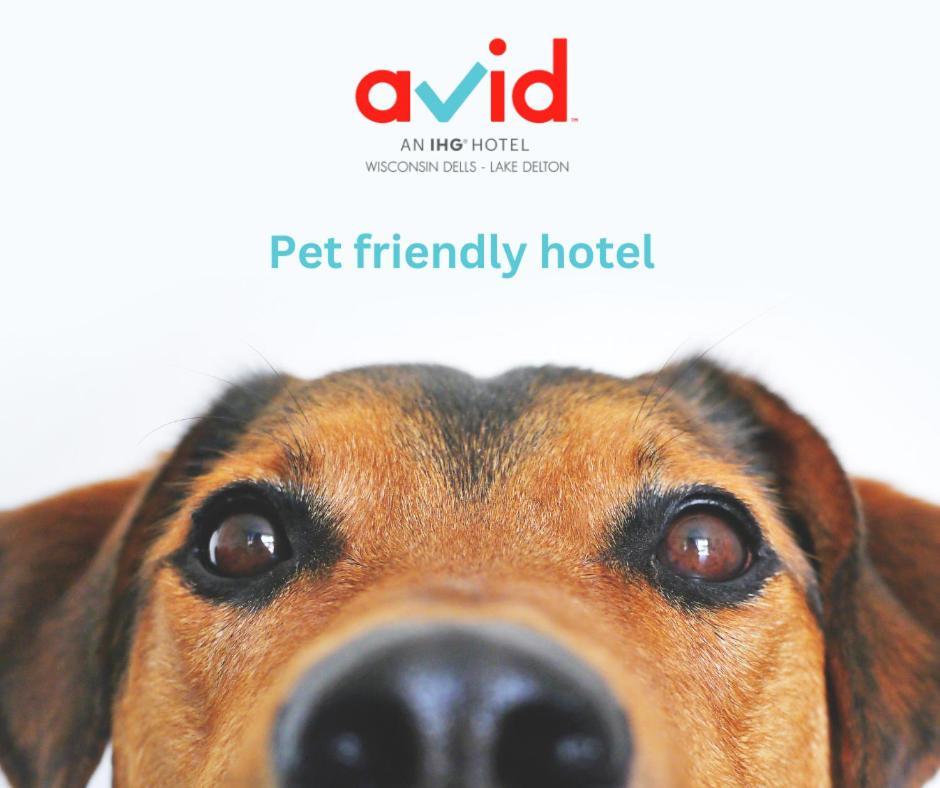 Avid Hotel Wisconsin Dells Lake Delton By Ihg Bagian luar foto