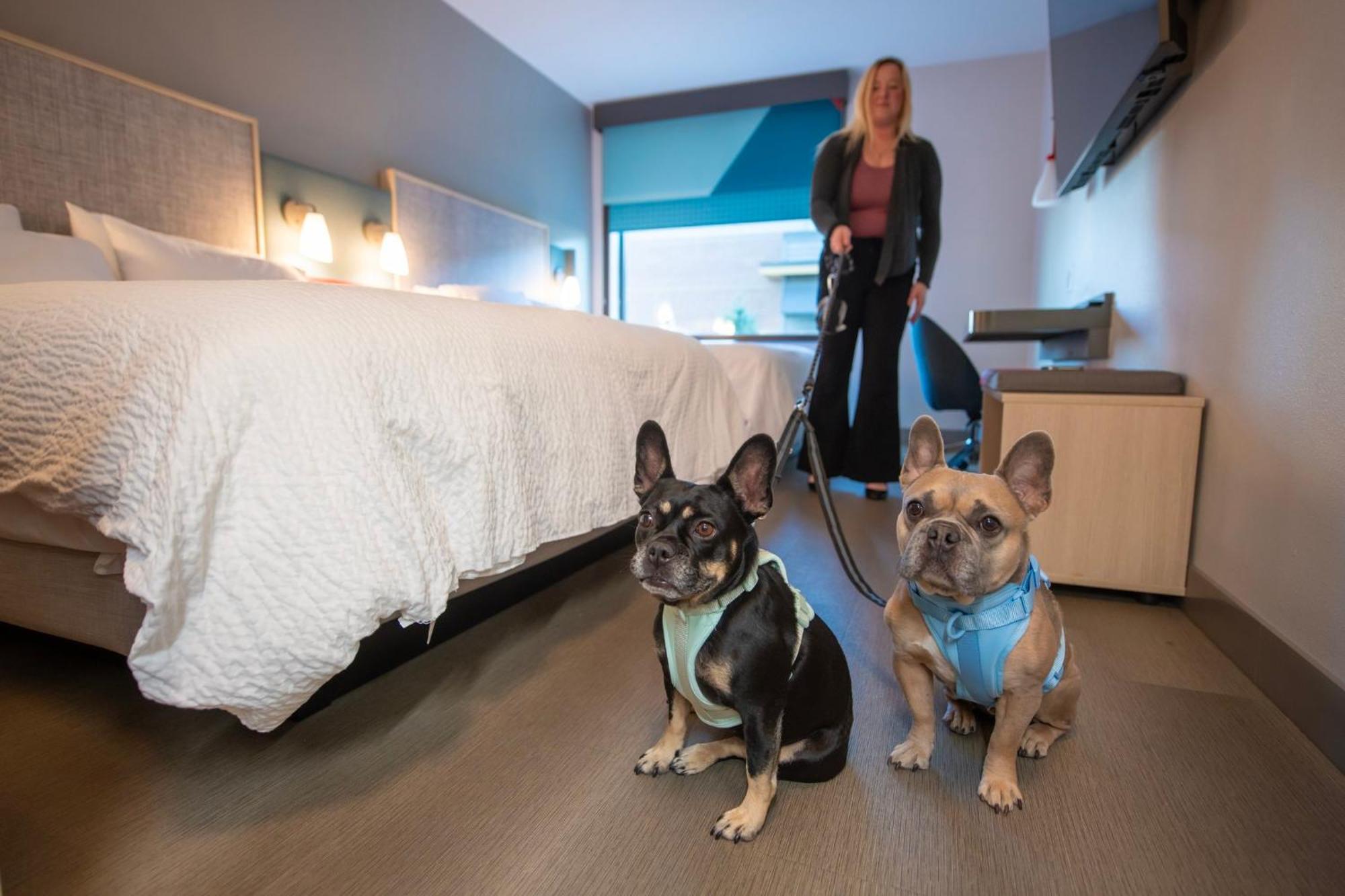 Avid Hotel Wisconsin Dells Lake Delton By Ihg Bagian luar foto